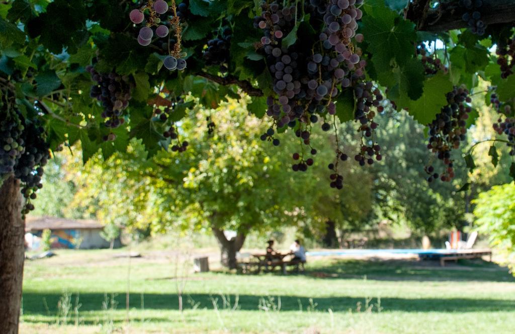 Hosteria Rural Viejo Roble Сан Рафаел Екстериор снимка