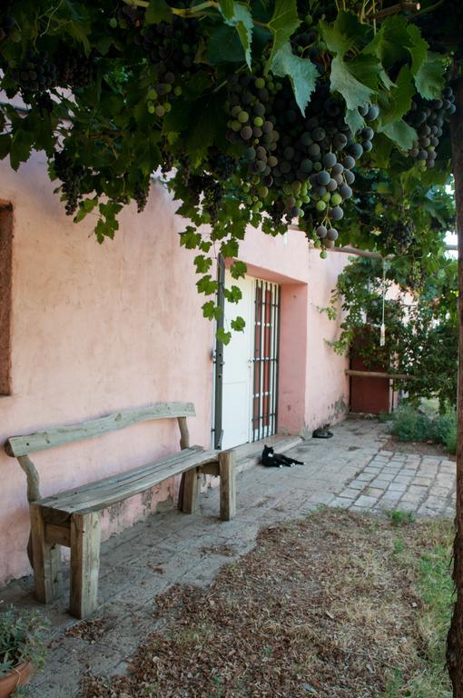 Hosteria Rural Viejo Roble Сан Рафаел Екстериор снимка